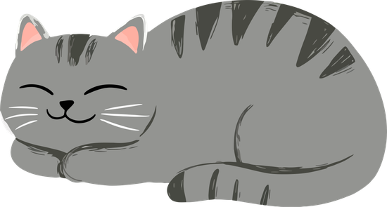 mraav cat